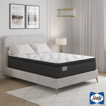 16" EverMore Deluxe Queen Mattress