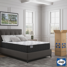13.5" EverBright Balanced Queen Mattress