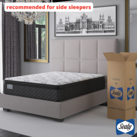 14.5" EverBright Plush Queen Mattress